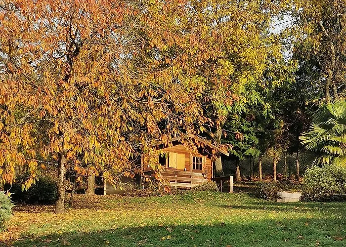 Les Ecureuils * Pasly